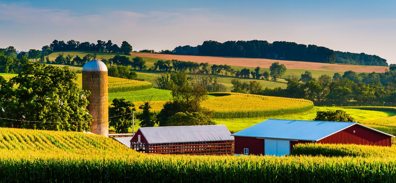 Farmland